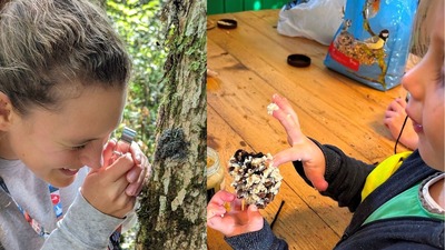 241218 Parels van Sdam Vogelhapjes maken Code Groen educatie